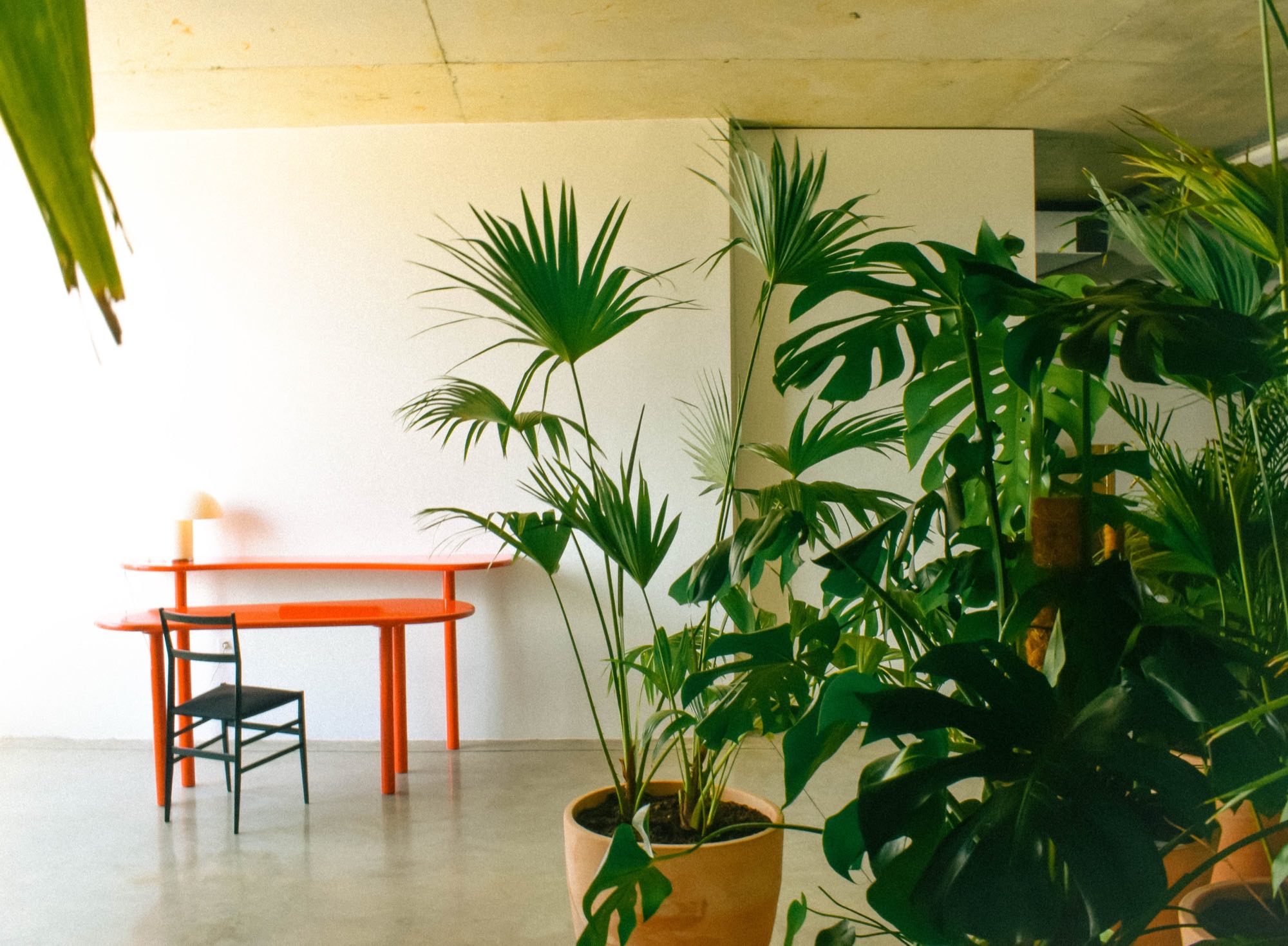 Double Desk — 5