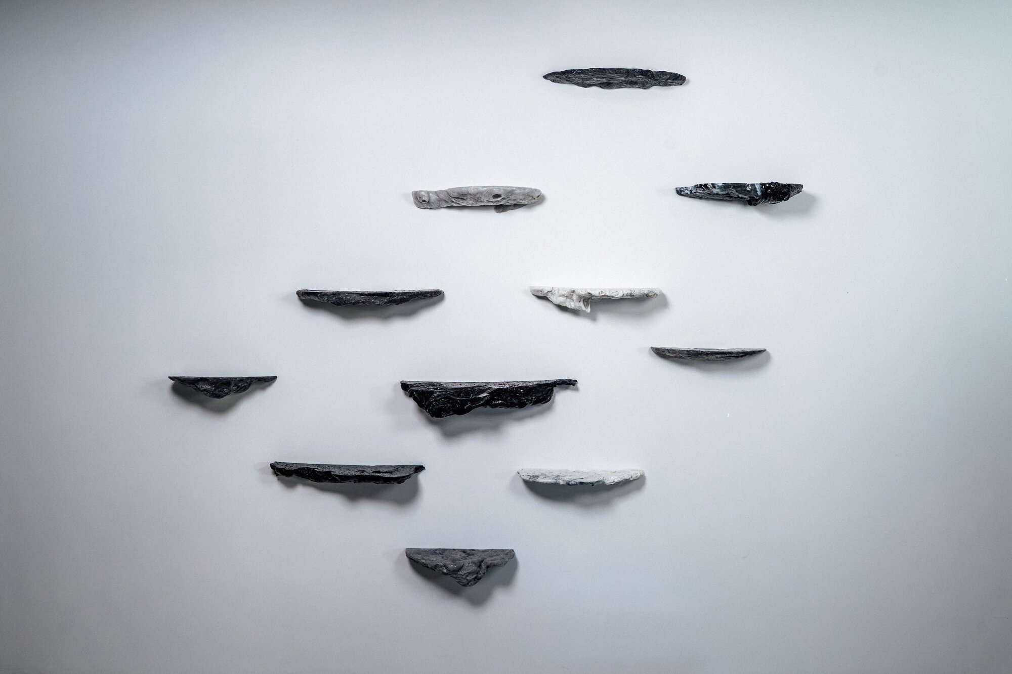 Shelves - Polypores — 3