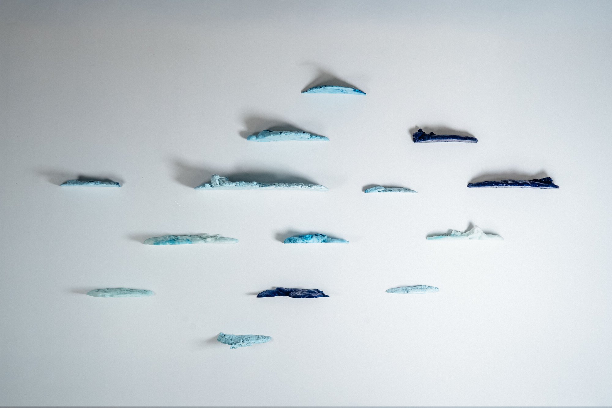 Shelves - Polypores — 6